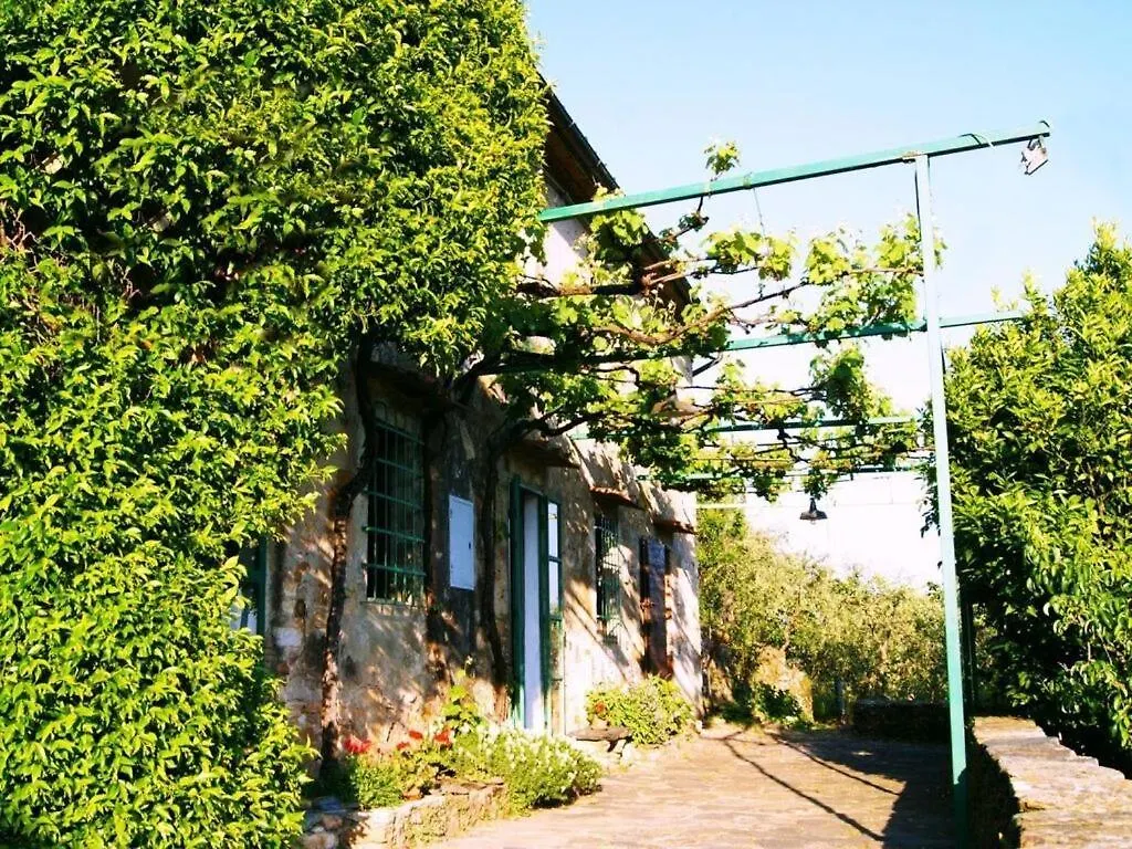 Holiday home Holiday House With Pool In Secluded Location Buti